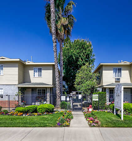 a sidewalk in front of two houses with a palm tree