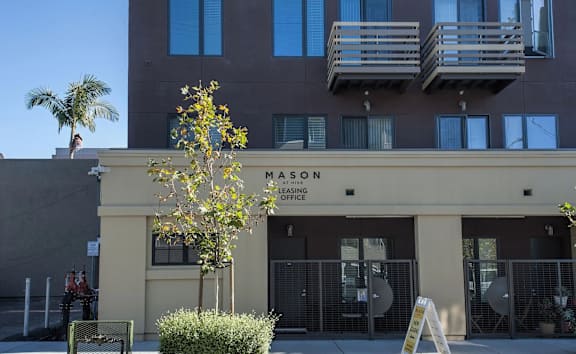 A tree in front of a Mason office building.