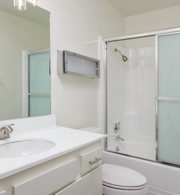 a bathroom with a sink and a shower and a toilet