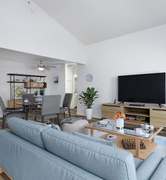 A living room with a grey couch and a television.