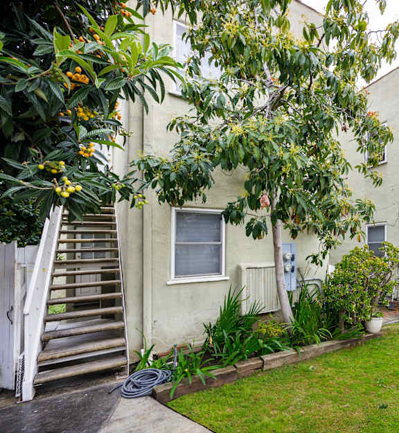 the backyard of an apartment building with a lawn and tree