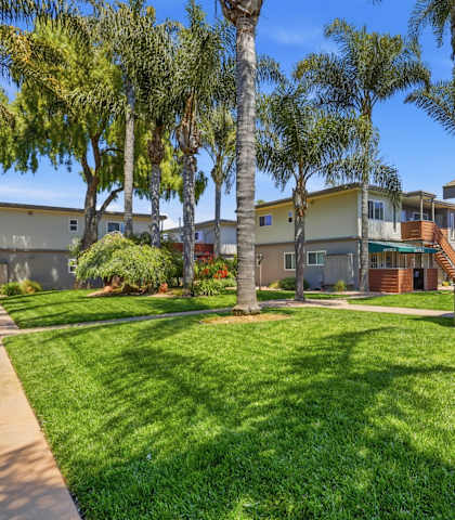 A sunny day at a residential complex with palm trees and a clear blue sky.
