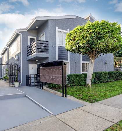 an apartment building with a driveway and a tree in front of it
