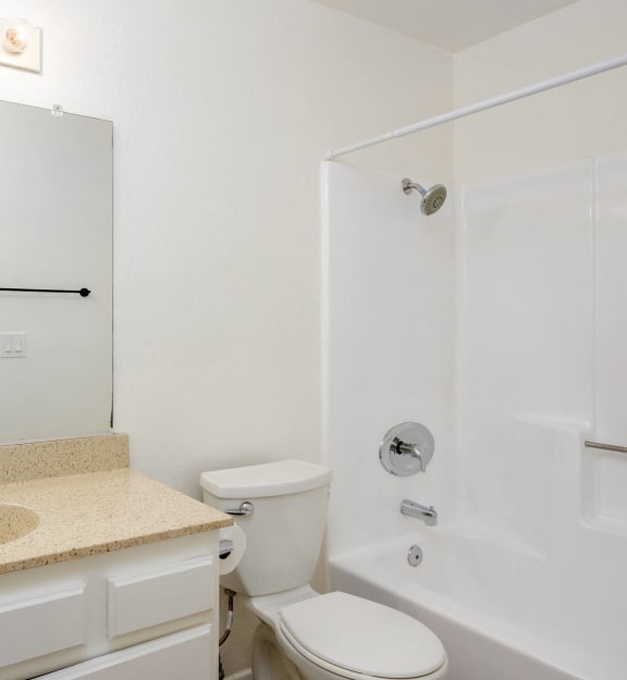 a bathroom with a sink and a toilet and a shower