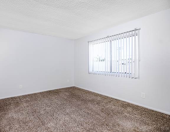 A room with a carpeted floor and a window with blinds.