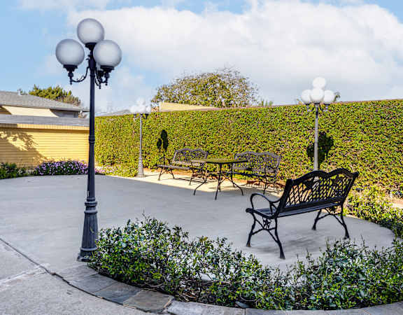 A black bench sits in the middle of a circular garden.