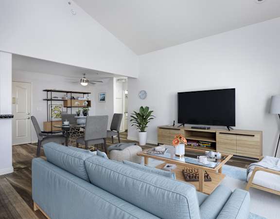 A living room with a grey couch and a television.