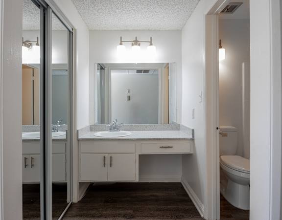 a bathroom with a sink and a toilet and a mirror