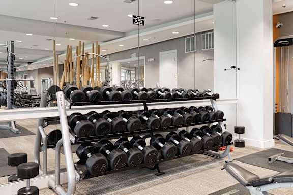 a row of weights in a gym with mirrors on the wall