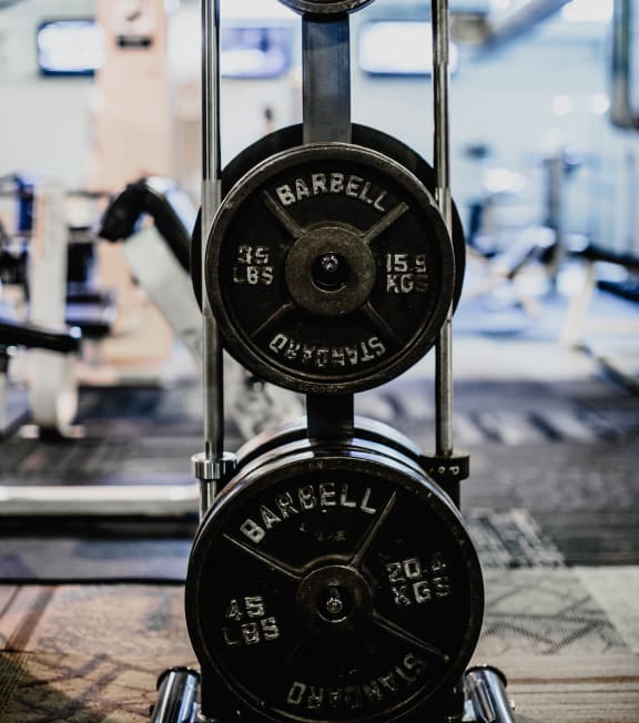 a pair of dumbbell weights in a gym