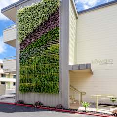 A building with a green wall on the side.