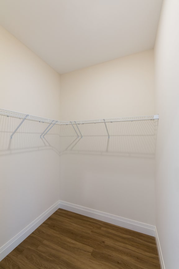 Spacious Walk-in Closets - 28 Austin in Newton, MA