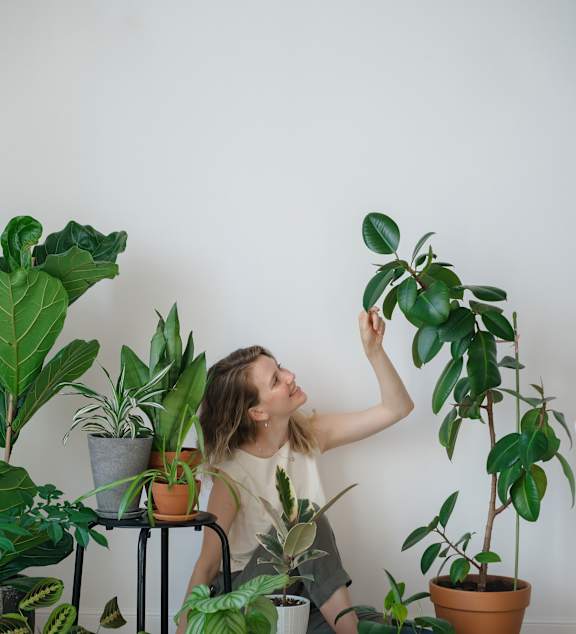 A woman is tending to a green plant in a room with several other potted plants.
