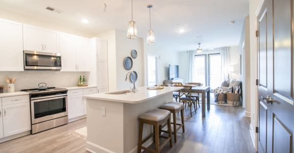 Downtown Alpharetta Luxury One and Two Bedroom Apartments 