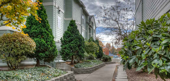 A residential street with a sidewalk and houses on both sides.