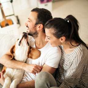A man and woman are sitting on a couch with a dog between them.
