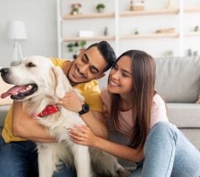 a man and woman sitting on a couch with a dog