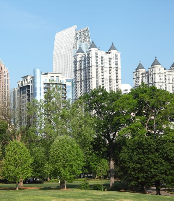 a park with tall city buildings in the background