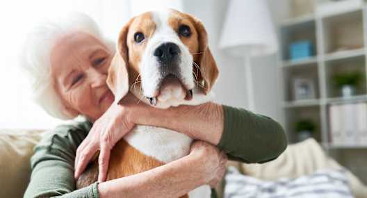 an older woman sitting on a couch holding her dog
