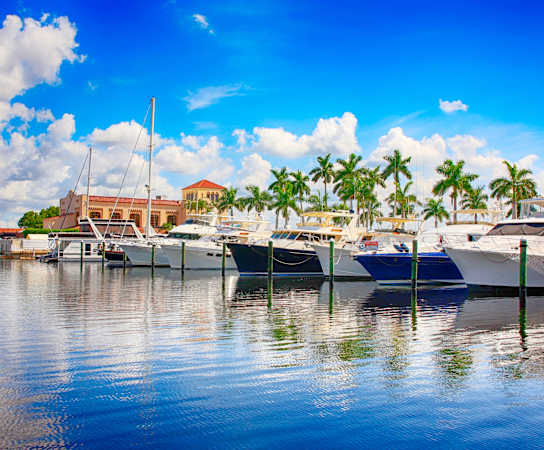 a harbor full of boats and palm trees in the background