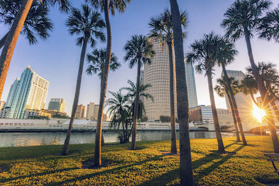 Neighborhood at Element, Tampa, Florida