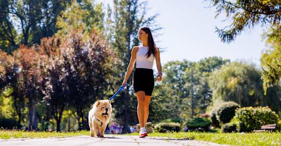 a woman walking her dog in the park at Earle Manor Apartments, Wheaton, MD