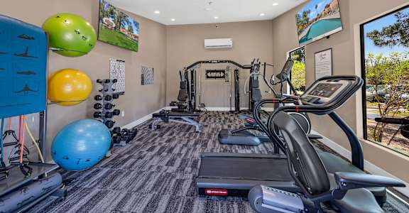 A gym with a treadmill, exercise balls, and other equipment.