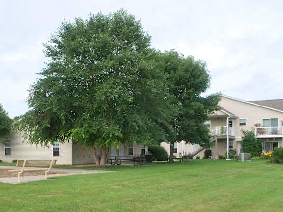 a large yard in front of a house with a playground