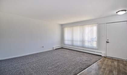A room with a carpeted floor, a window with blinds, and a white door.