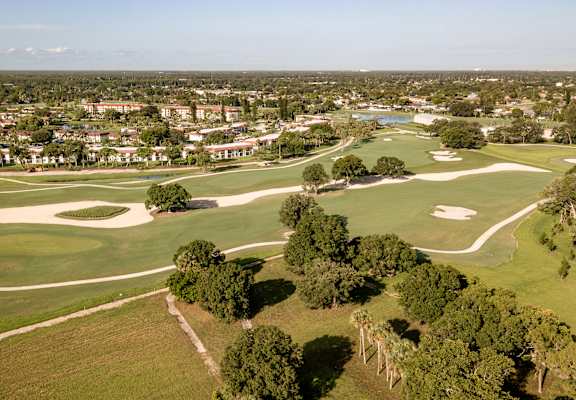 A golf course with a green and a tree in the foreground.