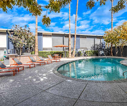 A swimming pool surrounded by trees and chairs.