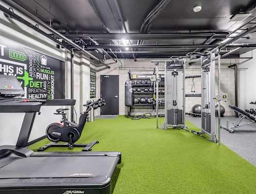 A gym with a green floor and a variety of equipment.