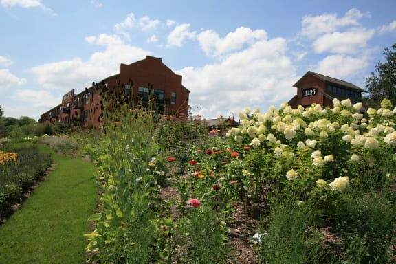 a garden with a variety of flowers and buildings in the background  at Hayden Lofts Apartments, OH, 43016