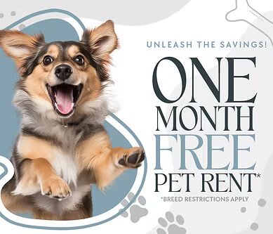 A cheerful dog is featured in an advertisement for one month free pet rent.