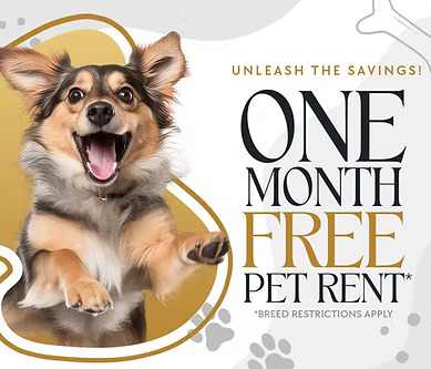 A cheerful dog is featured in an advertisement for one month free pet rent.