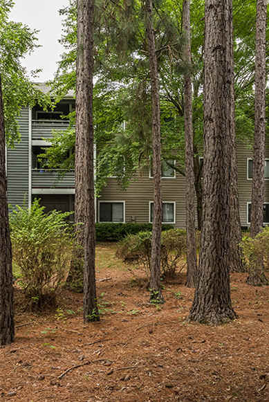 A building is surrounded by trees.