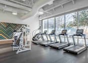 Thumbnail 19 of 24 - A gym with treadmills and a weight machine.