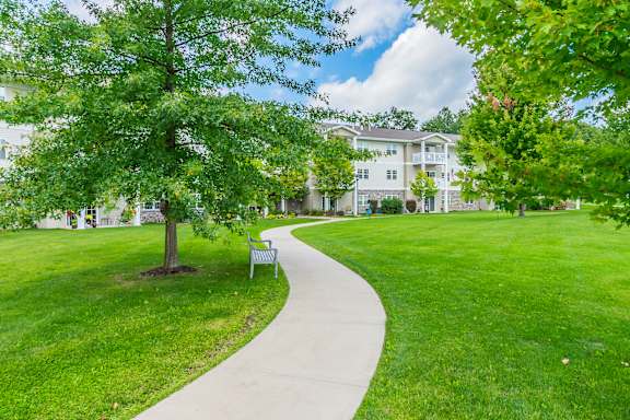 A tree in a grassy area with a bench and a path leading to a building.