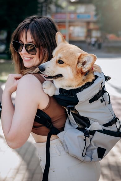 a woman with a dog in a backpack