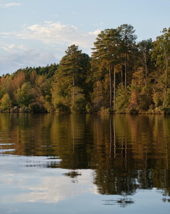 a view of a lake with a forest in the background