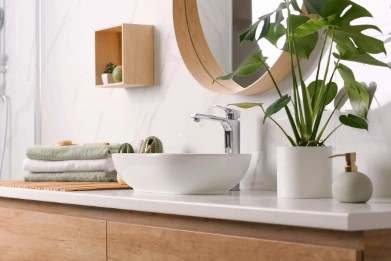 A bathroom with a white sink, a round mirror, and a potted plant.