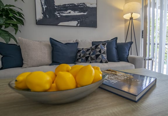 altitude apartments in san antonio tx