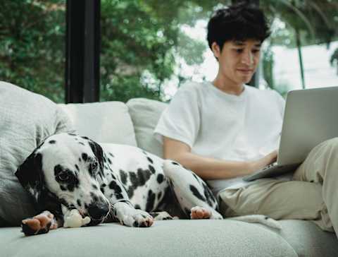 a man sitting on a couch with his dog and laptop