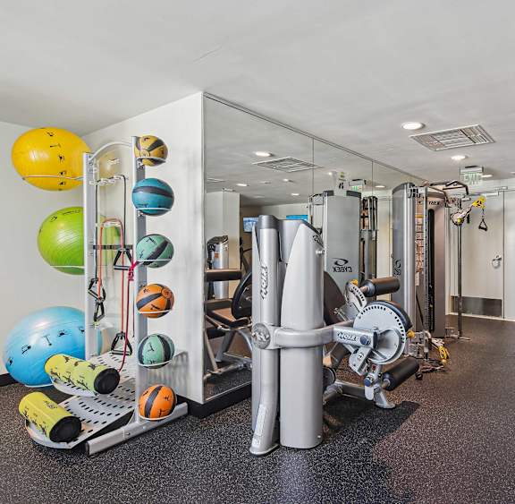 Pet-Friendly Rentals in Miami River, FL – Riverview One Apartments – A gym with a variety of equipment including weights and exercise balls.