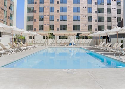 A large swimming pool surrounded by sun loungers and umbrellas.