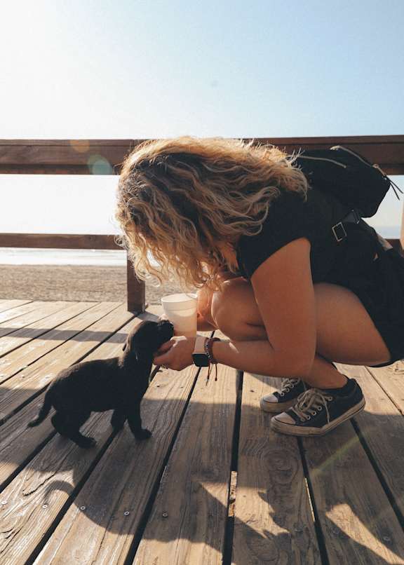 A woman is playing with a small black puppy on a wooden deck. at The Marquee Apartments, North Hollywood, California