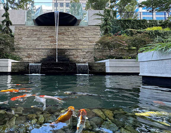 a pond with koi fish in it and a water fountain at Preston Centre, Columbus, OH, 43215