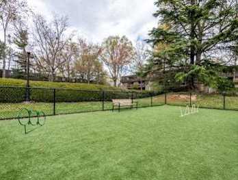 A green lawn with a tennis net and a bench.
