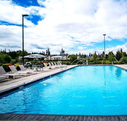 the swimming pool at the resort at paws up