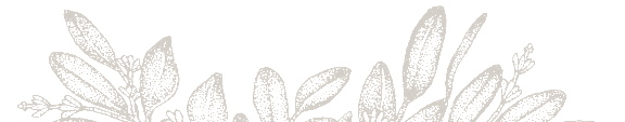 A black and white image of a plant.